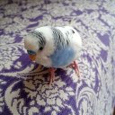 Deryammm adlı kullanıcı